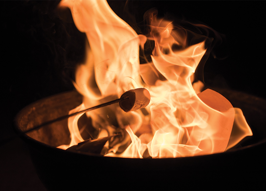 Future Fire Pit Area-image